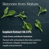 image:imageBLITHE Pressed Serum Crystal Iceplant Face Moisturizing Gel  Kbeauty Best Skin Cream for Dry Skin Korean Serum for Combination Skin amp Redness Relief Face Moisturizer for Dry Skin Cream 168 OzCrystal Iceplant