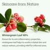 image:imageBLITHE Vital Essence 8 Beans  Korean Skin Care Elasticity amp Skin Barrier Adenosine Vitamin E  Fermented Olive amp Argan Oil 41 fl oz6 Calming Leaves